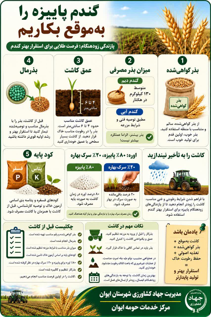 کاشت به موقع گندم پاییزه